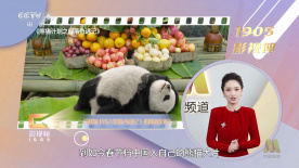 亚洲国产欧美在线人成